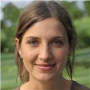 Clases para aprender programación básica y Desarrollo de software